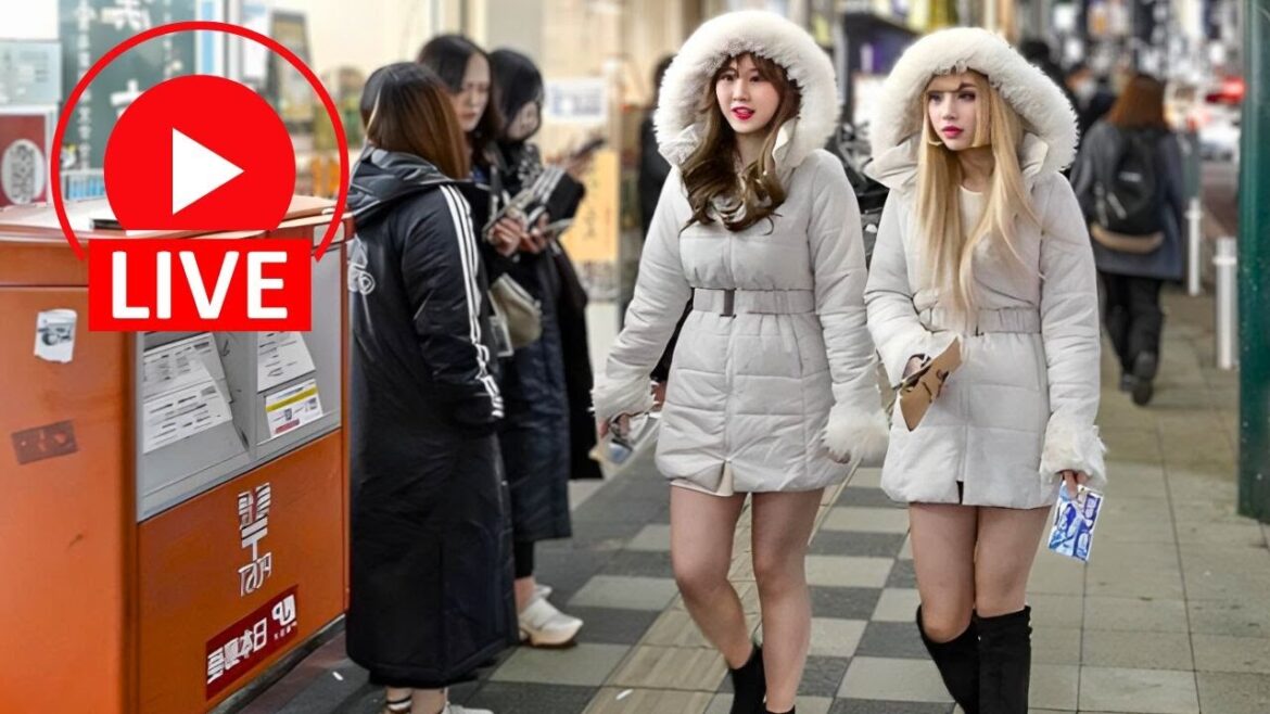 Tokyo Nightlife Unfiltered: Live Adventure