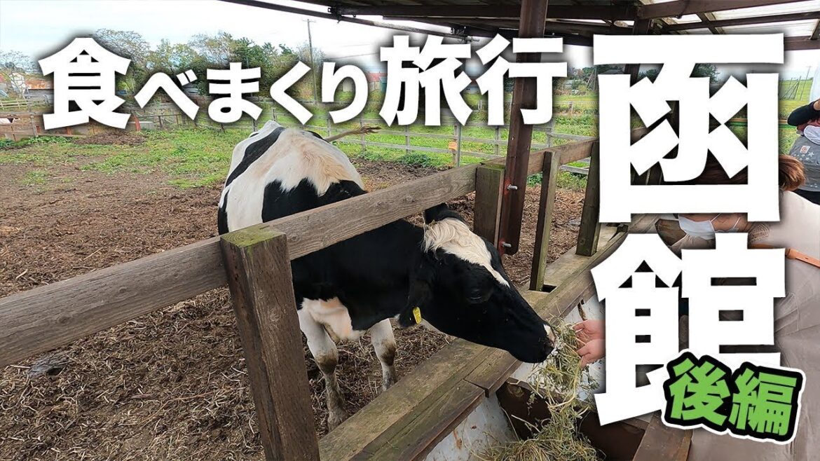 【 再投稿 】食べ歩き観光🍣ラビスタ函館ベイ1泊2日【後編】｜旅チャンネルの動画を引っ越し✨