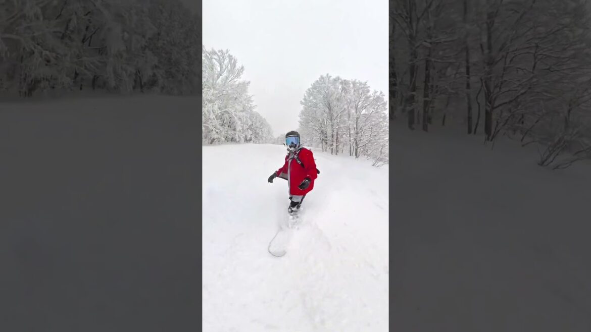 Powder in Myoko Japan