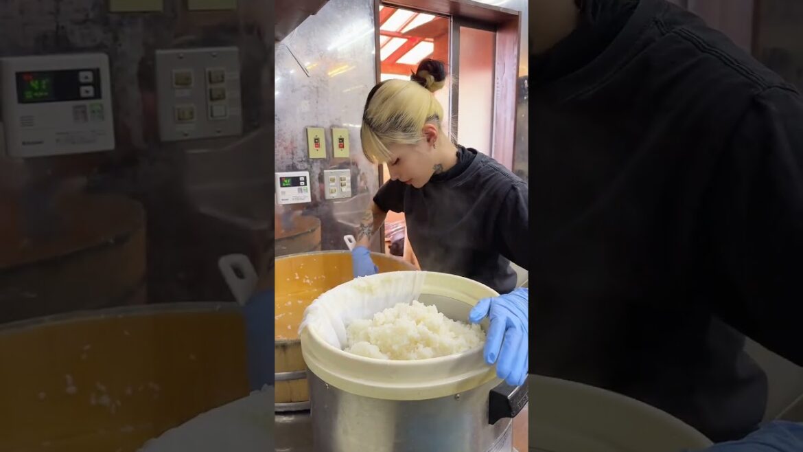 Maguro Kaichi: The Best Traditional Rice Bowl KAISENDON from TOKYO! Maguro Kaichi: The Best Traditional Rice Bowl KAISENDON from TOKYO!