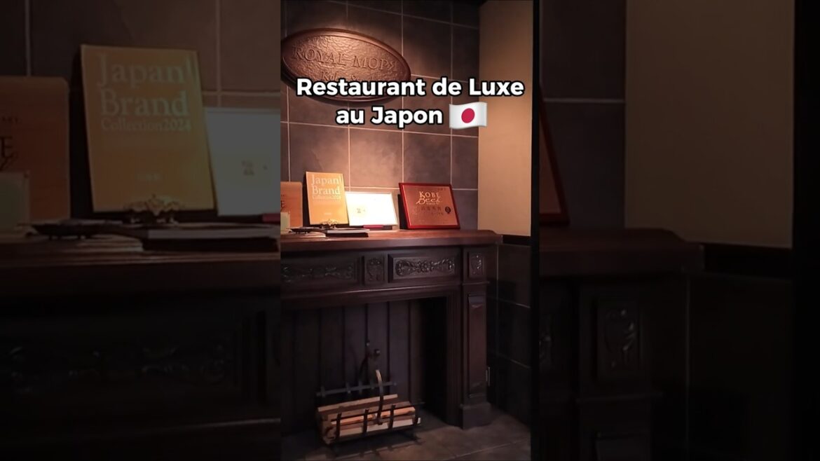 Restaurant de LUXE au Japon 🇯🇵 #japon #vlog #kobe