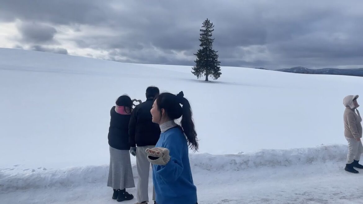 삿포로에서 3일. 눈축제에 갔지만 맥주만 가슴에 남은..✽