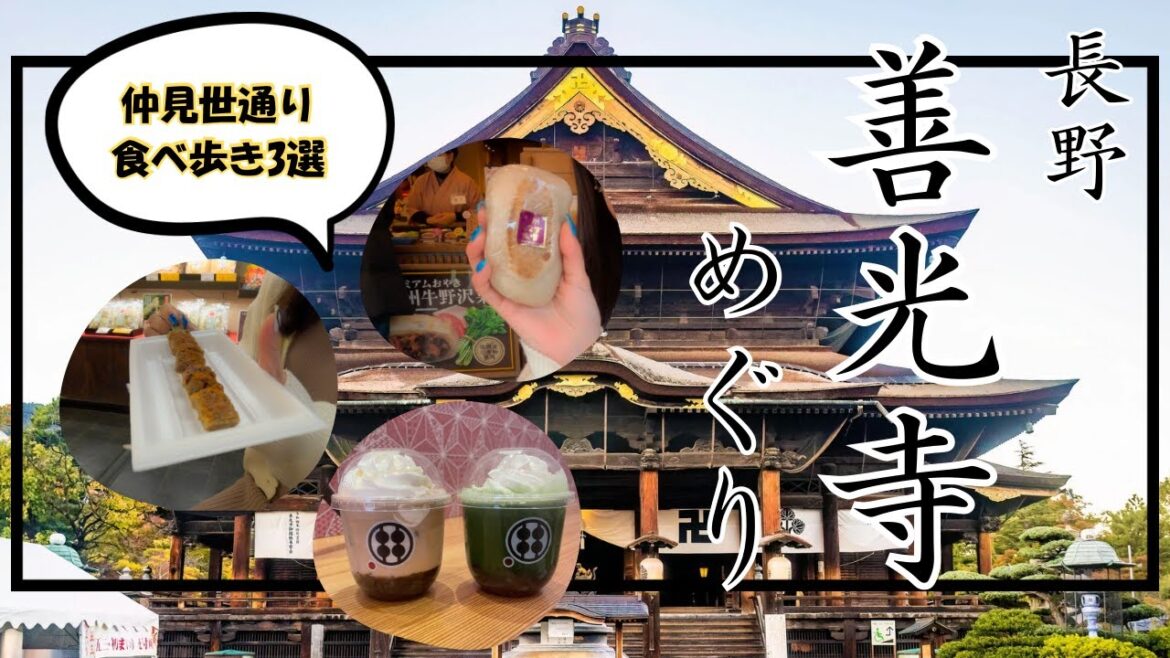 【長野に移住を考えてる方必見】長野市善光寺巡り⛩️✨