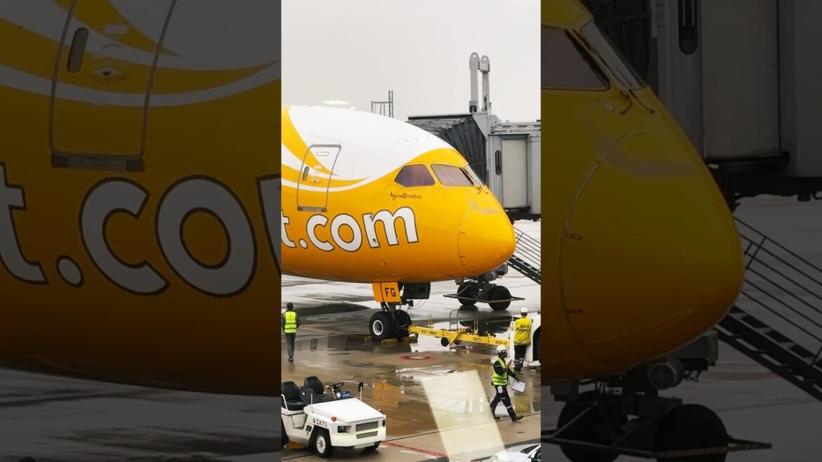 FlyScoot Boeing 787 at KIX Osaka Kansai Airport
