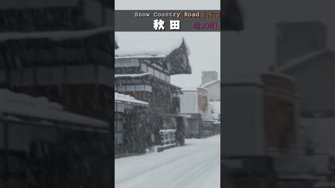 🇯🇵Beautiful snowy scenery in Akita❄#winter #travel #food #akita #vlog #instagram #tohoku #japan 🇯🇵Beautiful snowy scenery in Akita❄#winter #travel #food #akita #vlog #instagram #tohoku #japan