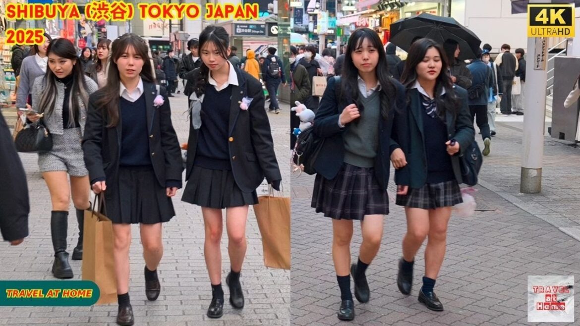 4k hdr Japan travel 2025 | Walk in Shibuya (渋谷) Tokyo Japan |  Relaxing Natural City ambience