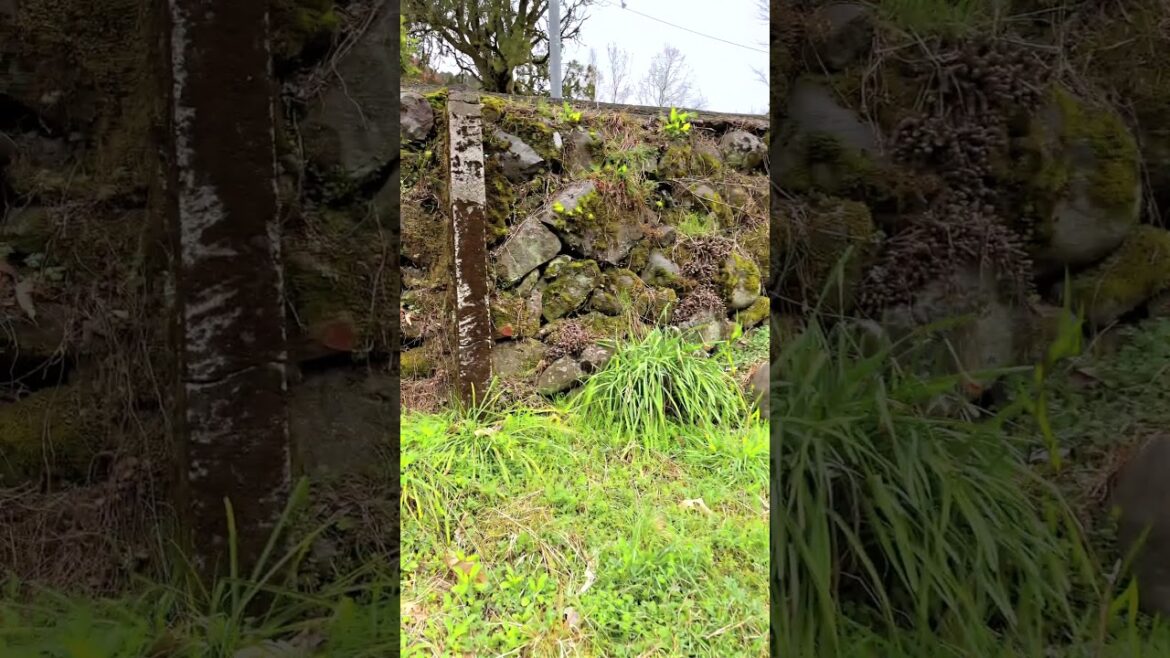 Beautiful mountain village scenery, Minamata, Kumamoto, Japan. #japanesecountryside