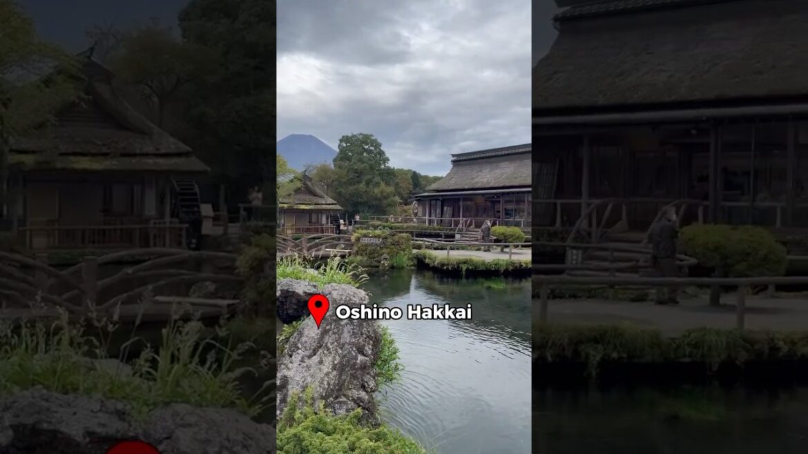 Oshino Hakkai, views of Mt Fuji & Kusa Mochi snack #travel #japanesefood #japan #mtfuji