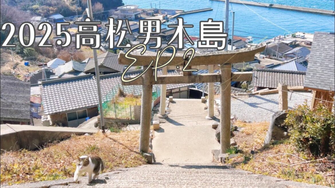 2025高松男木島𝐕𝐥𝐨𝐠 𝐈𝐈日本🇯🇵男木島交通方式｜貓島｜瀨戶內海｜骨付鳥 #男木島 #高松市 #瀨戶內海 #japan #japanesefood #japantravel #おぎじま