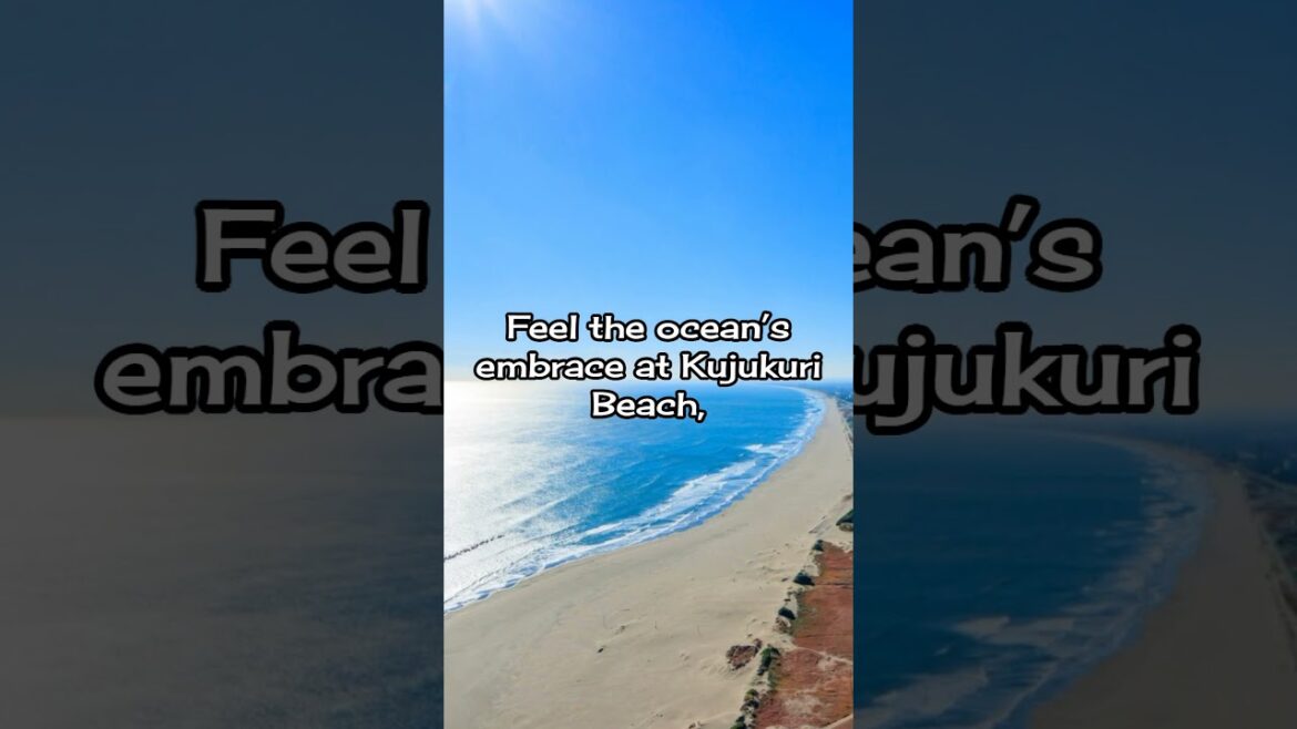 Chiba, where nature and culture come alive! #shallwejapan  #chiba #naritainternationalairport Chiba, where nature and culture come alive! #shallwejapan  #chiba #naritainternationalairport