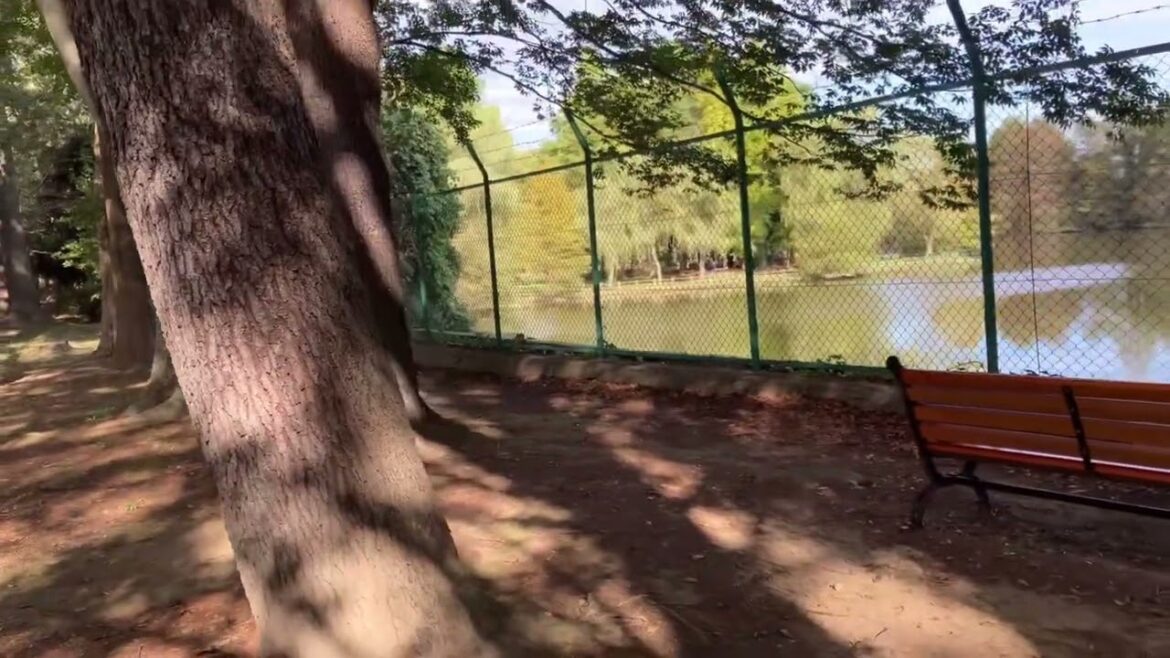 Walk in japan / chiba / tokyu kashiwa village / tsukuba express / kashiwa tanaka station