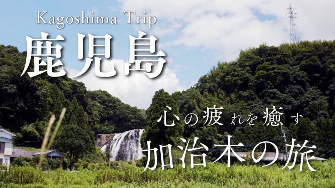 【鹿児島・癒しの旅】加治木の歴史と自然を歩く 【鹿児島・癒しの旅】加治木の歴史と自然を歩く