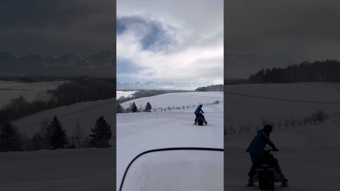 삿포로 3번째 방문  hokkaido의 꽃은 비에이 #sapporo  #biei #hokkaido