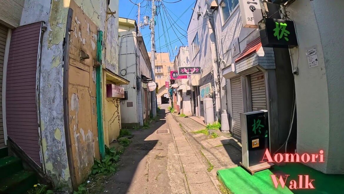 【Mutsu City Snack Street Walk】Exploring Aomori’s Hidden Nightlife Scene【4K】 【Mutsu City Snack Street Walk】Exploring Aomori's Hidden Nightlife Scene【4K】