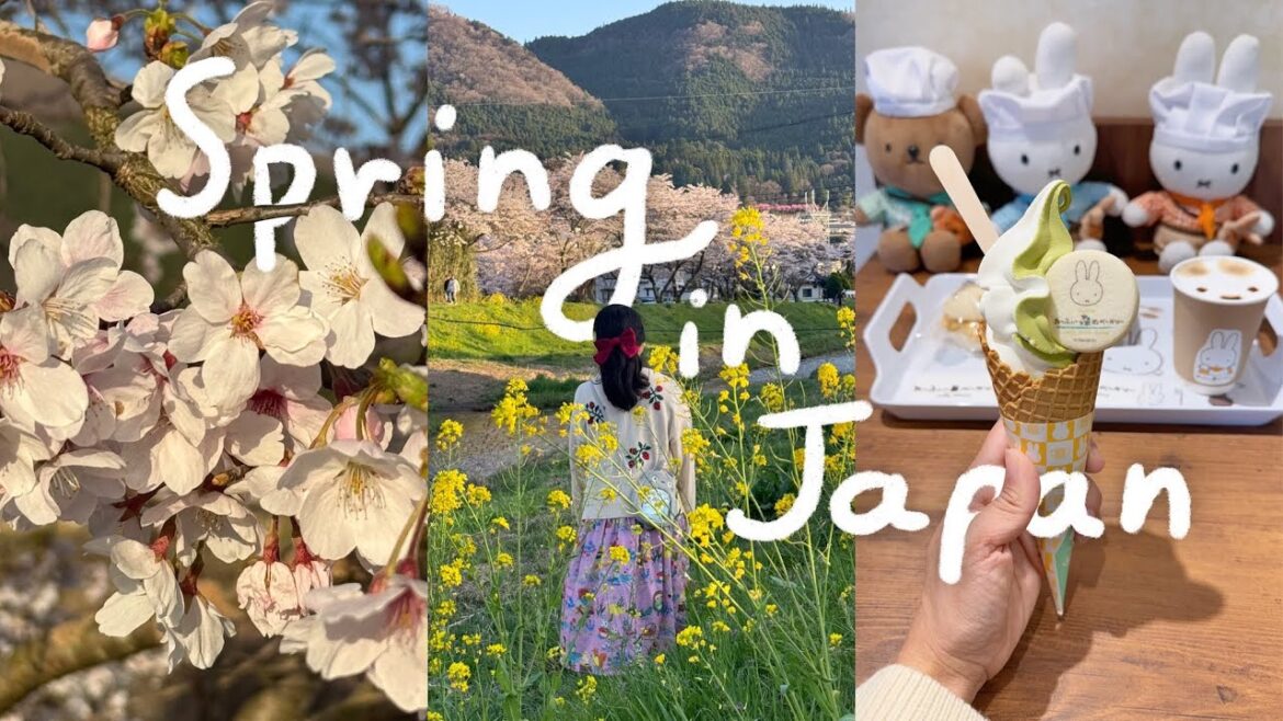 Japan Travel Vlog 🌸 Yufuin Floral Village, Cute Ghibli Shop, & Miffy Forest Kitchen | Rainbowholic Japan Travel Vlog 🌸 Yufuin Floral Village, Cute Ghibli Shop, & Miffy Forest Kitchen | Rainbowholic