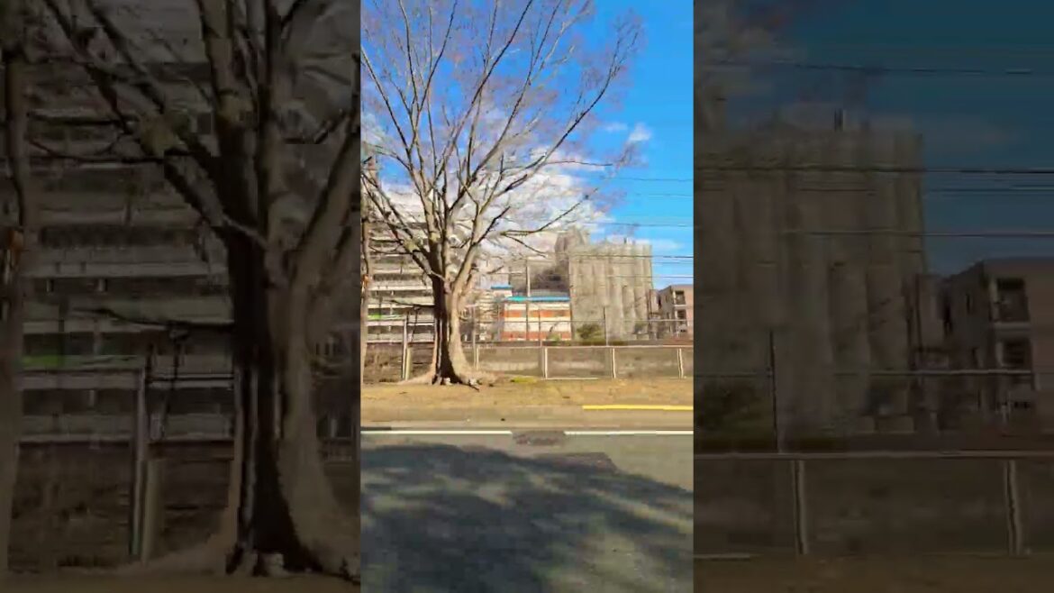 Streets of Osaka, Japan 🇯🇵 #shorts #osaka #travel #japan