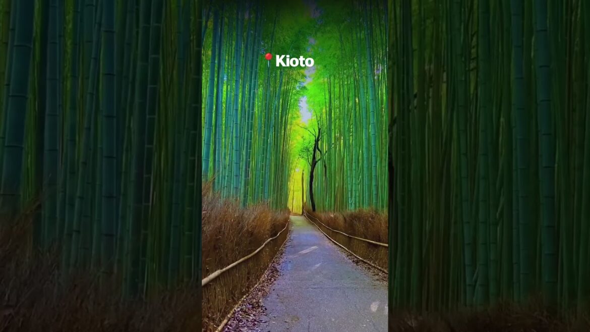 El Camino del Samurái El Camino del Samurái