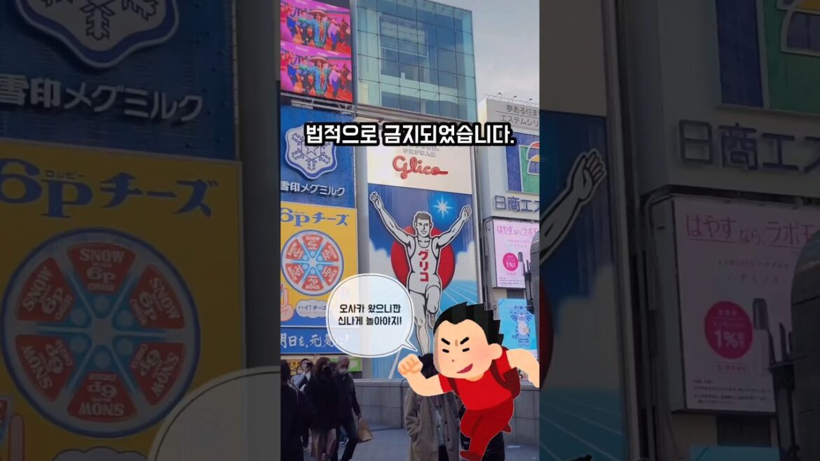 이제 오사카 여행 시 '이거'는 절대 하지 마세요!🚨