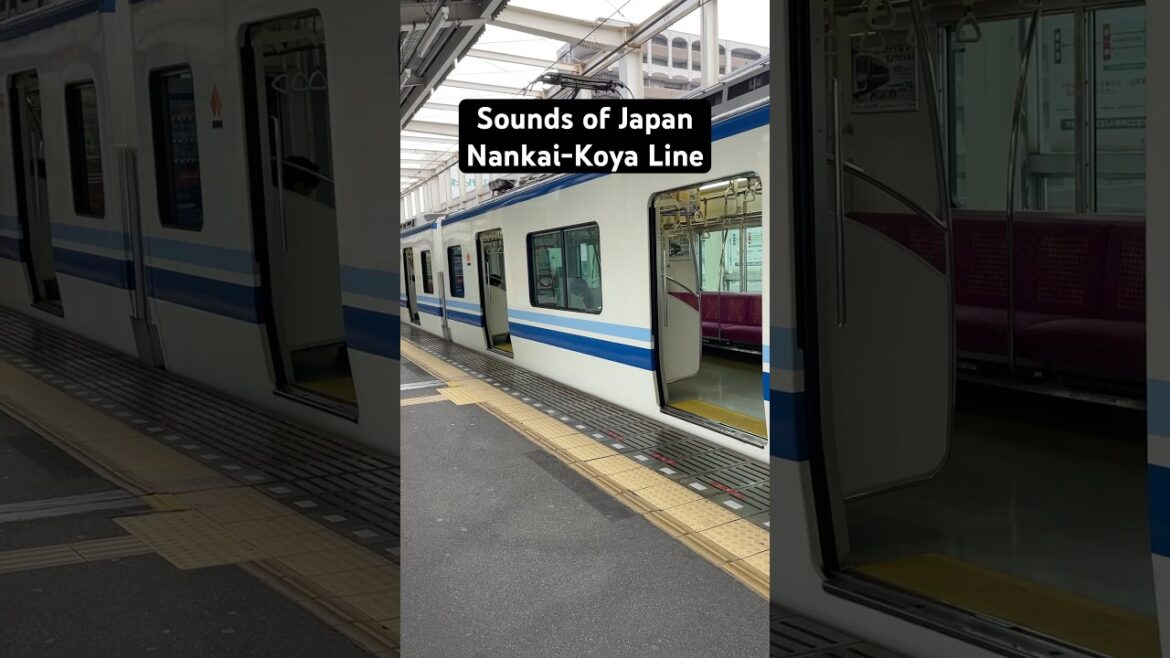 Sounds of Japan. Nankai Koya. #marinjapan #travel #nankai #soundsofjapan #nostalgic #nostalgia