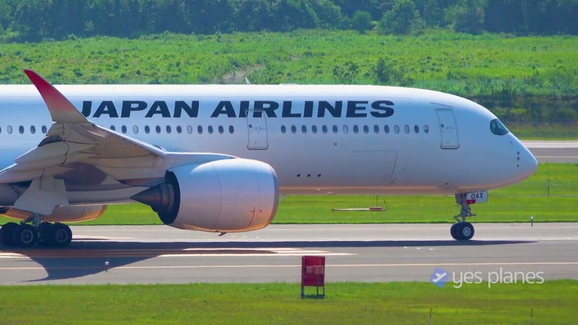 30 Minutes SAPPORO Plane Spotting | Aircraft’s Takeoff & Landing in New Chitose Airport (CTS/RJCC) 30 Minutes SAPPORO Plane Spotting | Aircraft's Takeoff & Landing in New Chitose Airport (CTS/RJCC)