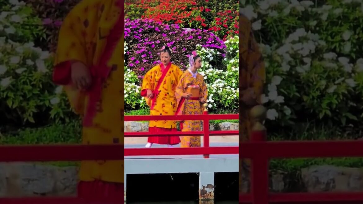 Spring in Japan 2025 | Cherry Blossoms, Festivals & Travel Guide #travel