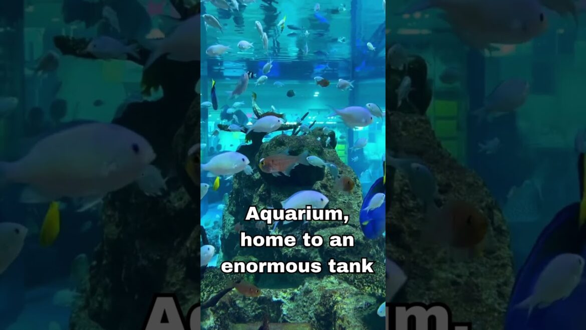 ποΈ Okinawa, Japan: The Ultimate Island Escape! β¨ #japantravel ποΈ Okinawa, Japan: The Ultimate Island Escape! β¨ #japantravel