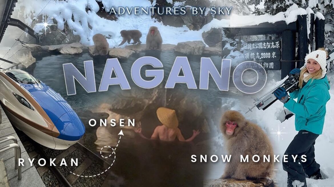 Winter trip to Nagano | japanese ryokan, snow monkeys, skiing!