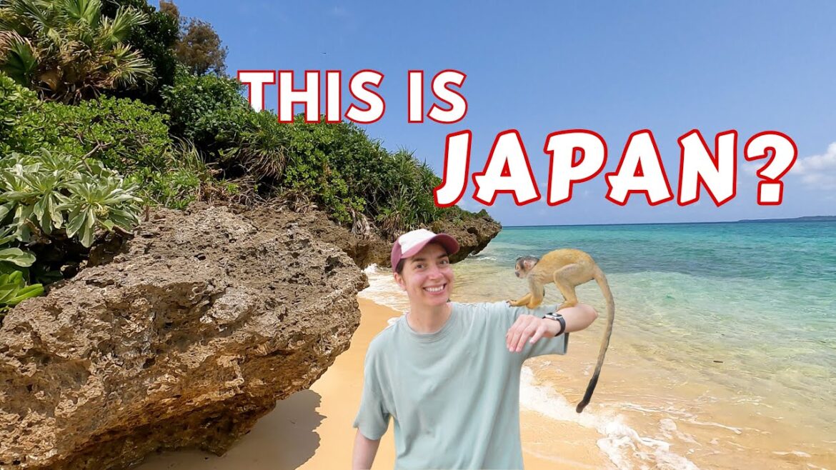 Exploring Japan’s most BEAUTIFUL Okinawa Islands: Iriomote & Ishigaki Exploring Japan's most BEAUTIFUL Okinawa Islands: Iriomote & Ishigaki