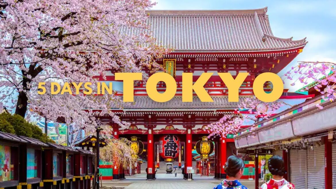 5 Days in Tokyo, Japan as First Timers 🇯🇵🌸