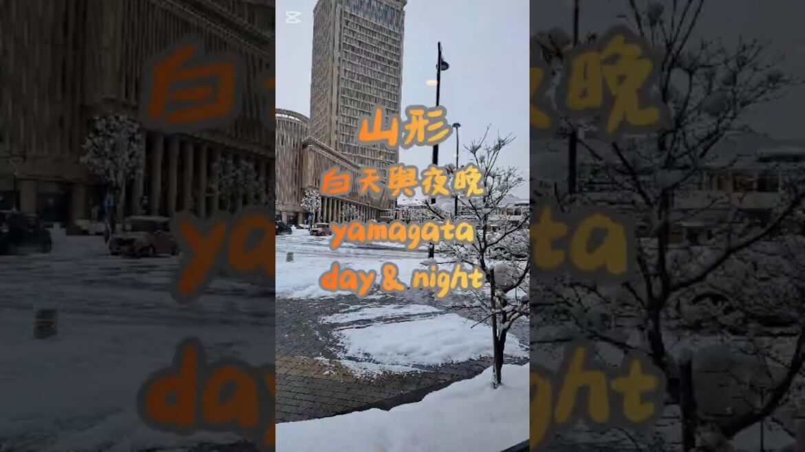 日本山形的白天與夜晚  📷2025.02 #yamagata #やまがたけん #東北地方