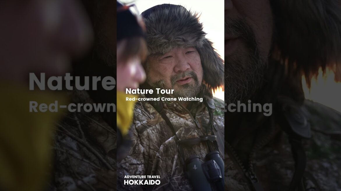 Adventure in Rishiri Island, Tsurui, Nemuro and Odaito in Hokkaido Adventure in Rishiri Island, Tsurui, Nemuro and Odaito in Hokkaido