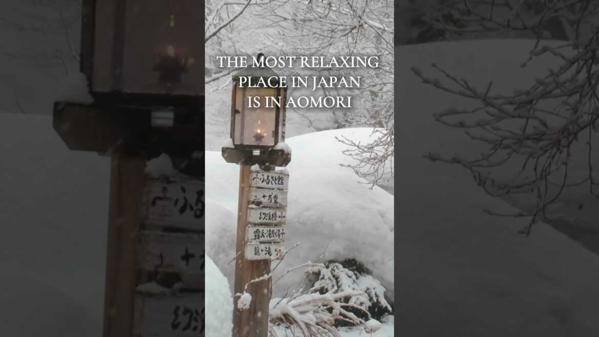 Searching for the perfect onsen in Japan? Look no further than Aomori! Link in bio for more