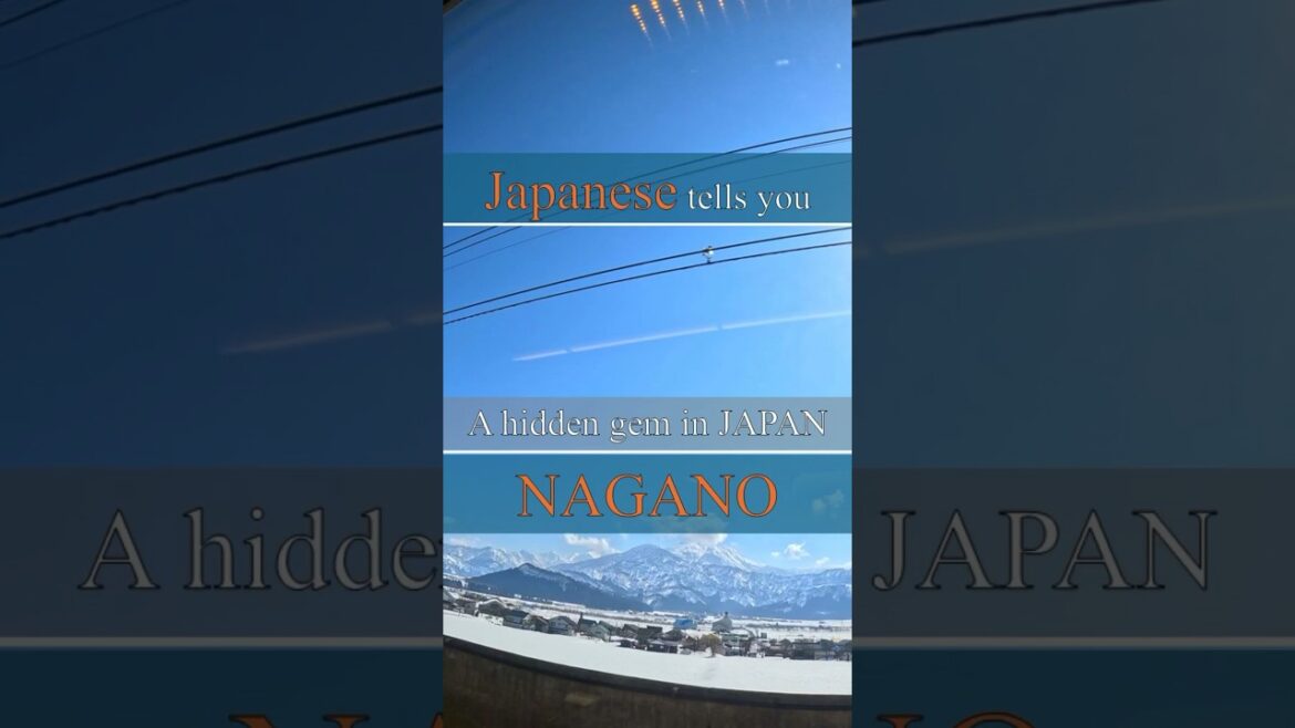Hidden gem #nagano #sake #izakaya #japaneseculture #japanesefood #food #travel #travelersnotebook