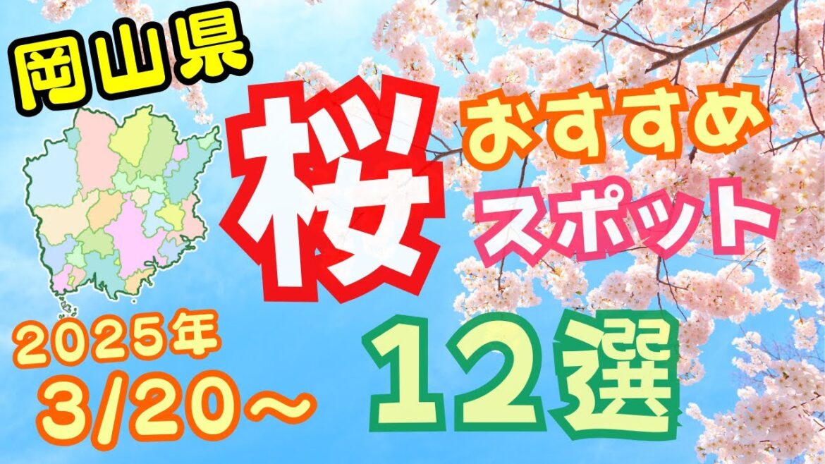 2025年版 岡山県おすすめ桜スポット12選 #岡山観光ファイル 2025年版 岡山県おすすめ桜スポット12選 #岡山観光ファイル