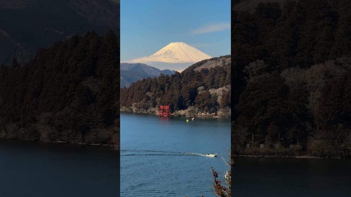 #hakone on a clear day 😍 #mountfujiview #mountfuji #mtfuji #japantravel #traveljapan #shrine