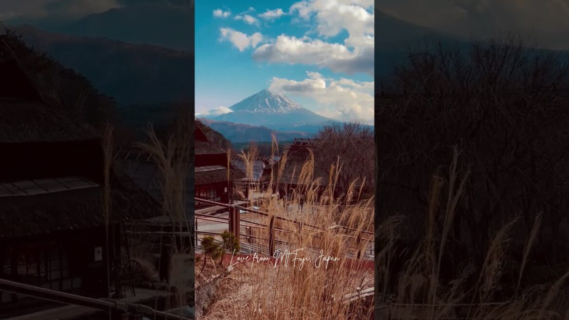 Mt Fuji #japantravel #japan #mtfuji