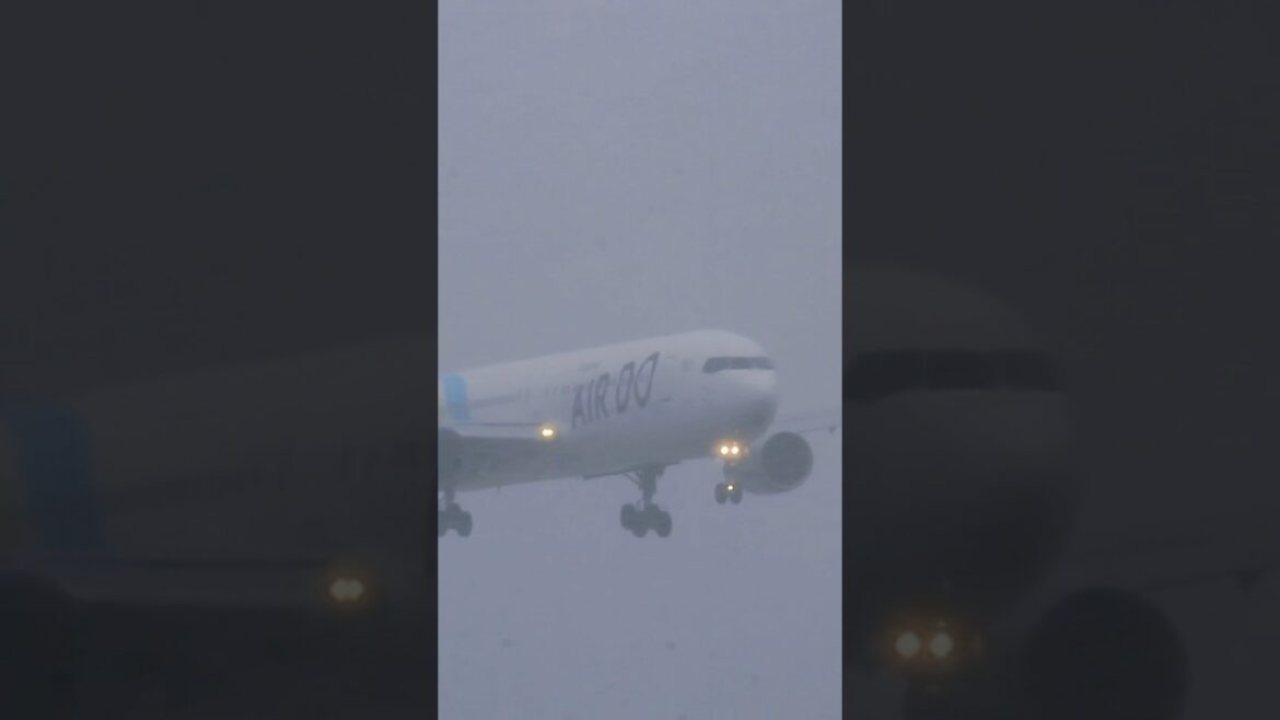 函館空港　湿り雪の中着陸🛬　2025.3.16 Air Do北海道の翼　Boeing 767-381(ER)