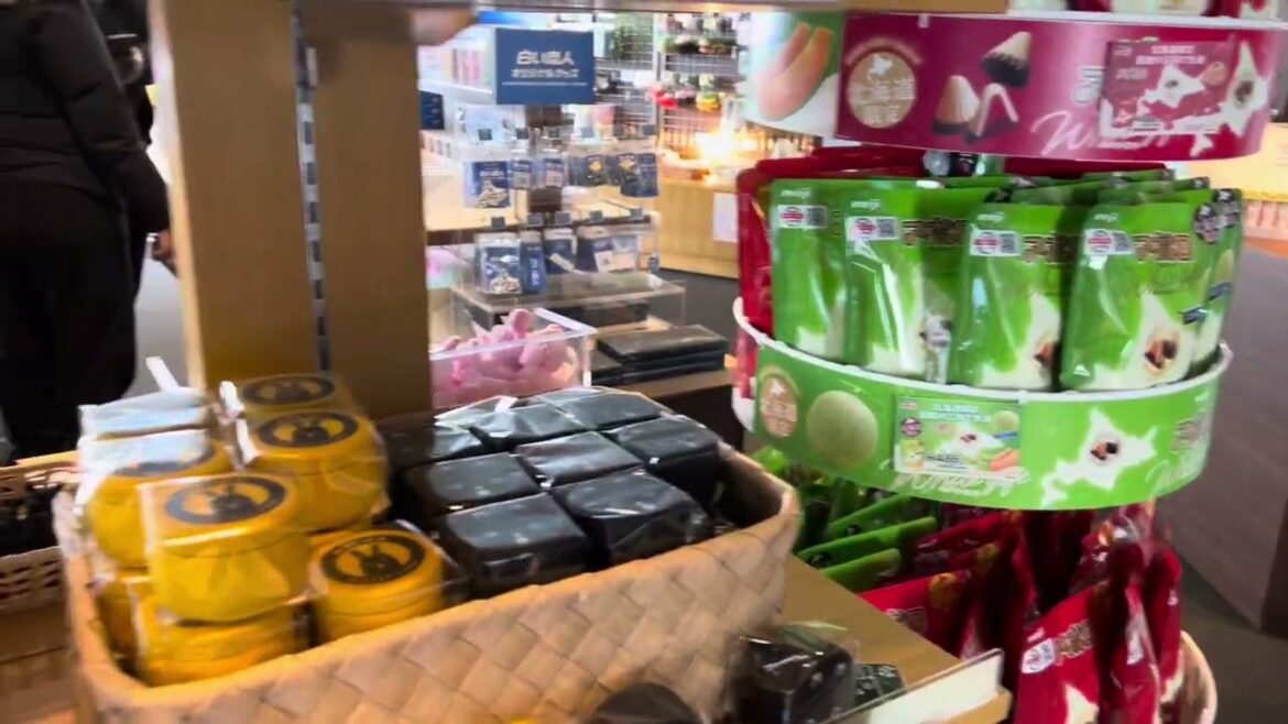 February 2025 First Otaru Hokkaido 🇯🇵 | sometravelbuddie