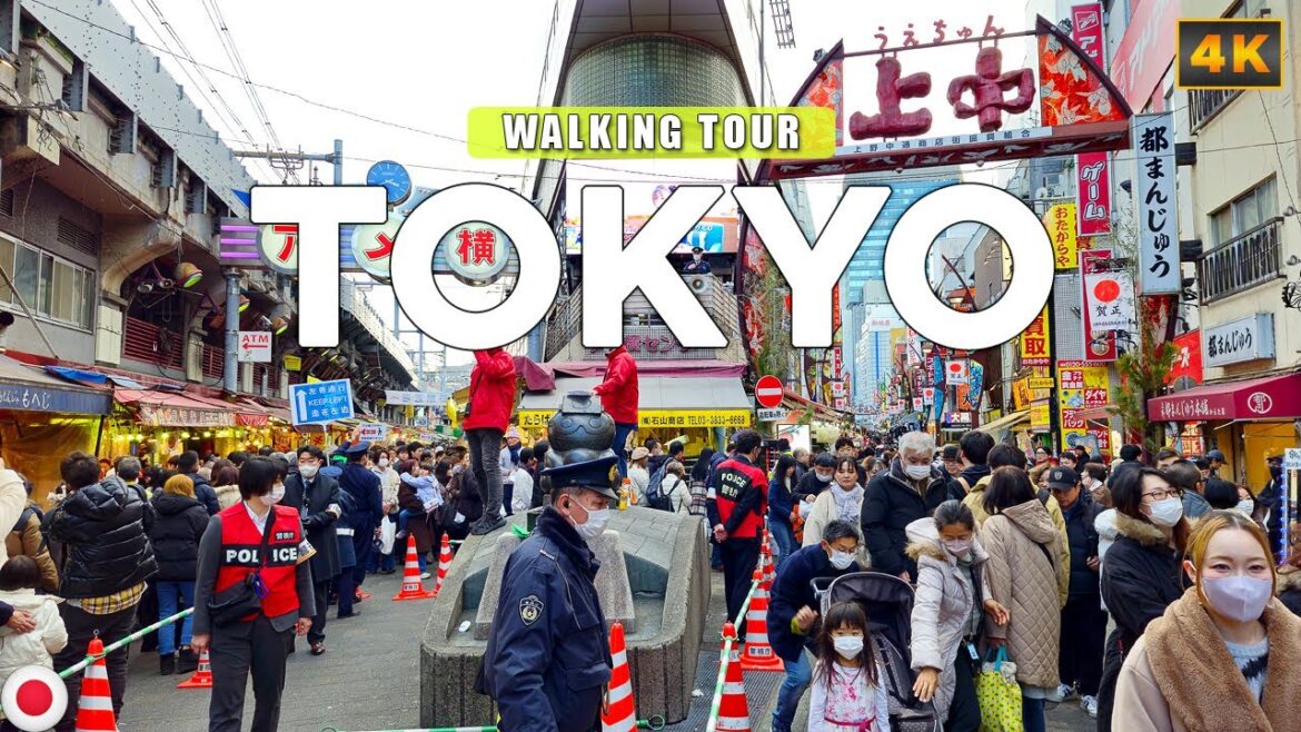 Tokyo, JAPAN - Ueno Ameyoko Shopping Street [Walking Tour]