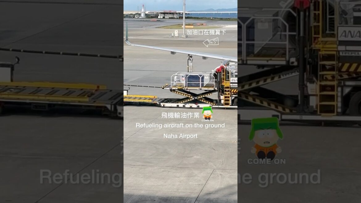 🚛⛽️機場地面作業如何替飛機加油? Naha Airport那霸機場 #airplane #airport #refueling #japan