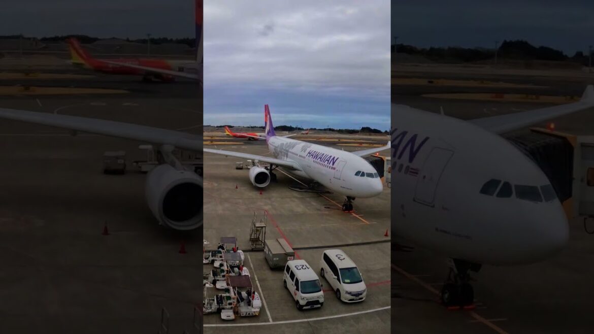 Hawaiian Air at Narita Airport, Japan 🇯🇵. #shorts #tokyo #japan #naritainternationalairport
