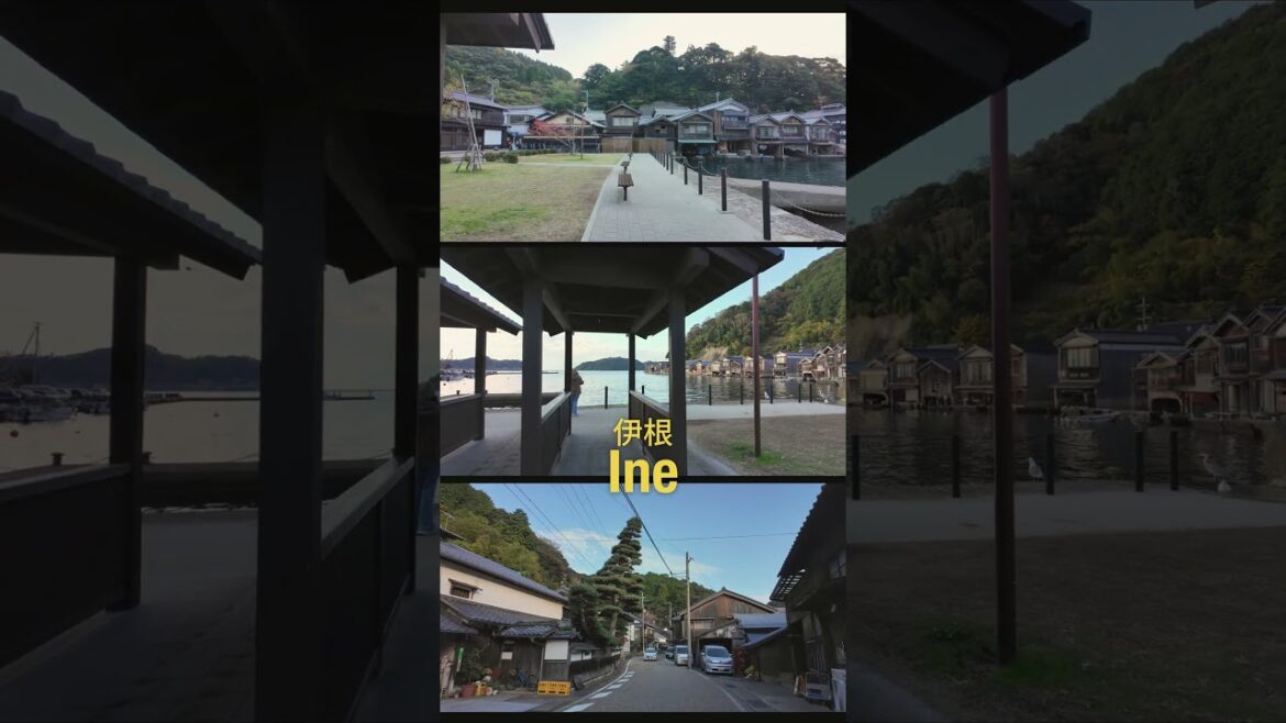 Ine, Kyoto. Your next Japan Destination 🤍 #kyoto #kyotobythesea #funaya #relaxing