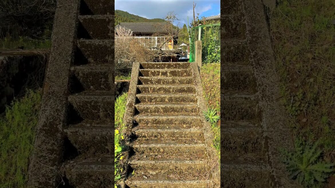 Beautiful mountain village scenery, Minamata, Kumamoto, Japan. #japanesecountryside