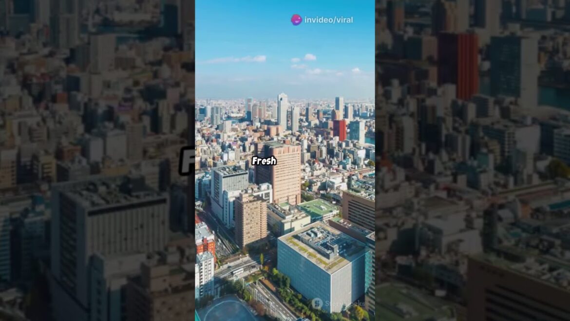 Tokyo’s Top 10 Must Visit Spots! 2025 #travel #facts #thewanderinglondoner #tokyo #travelguide Tokyo's Top 10 Must Visit Spots! 2025 #travel #facts #thewanderinglondoner #tokyo #travelguide