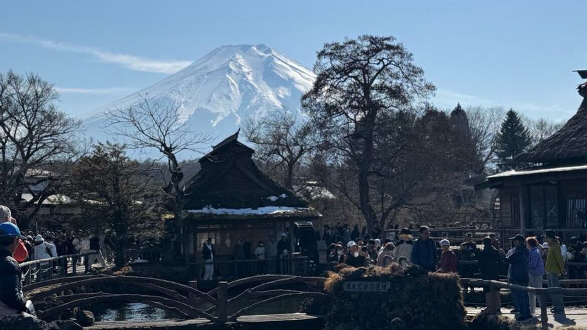 #ReviewActivity #Review One-day tour to Mount Fuji's popular attractions