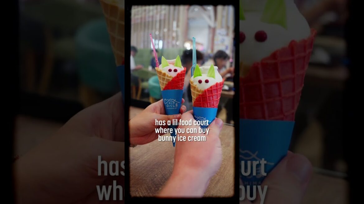 What is a Japanese 'michi no eki'?