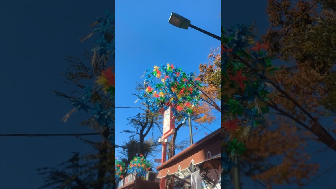 Nestelga In Japan  #travel #asiantravel #japantravel #japan  #traveldestinations  #tokyo #kyoto