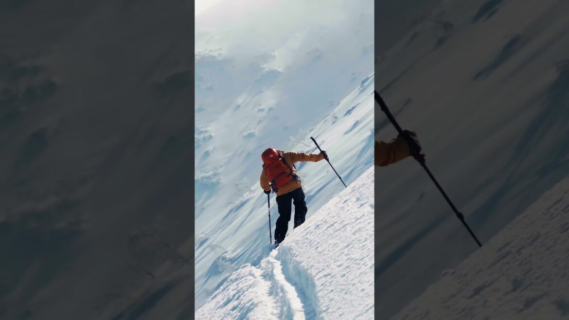Life on the edge #japan #hokkaido #ski #skiing #film #cinematography #a7iii