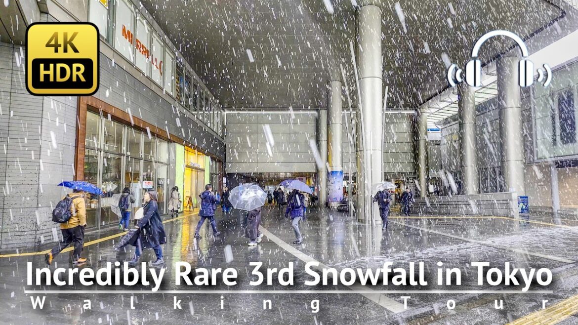 Incredibly Rare 3rd Snowfall in Tokyo: Tokyo in the Snow 2025 Walking Tour [4K/HDR/Binaural]