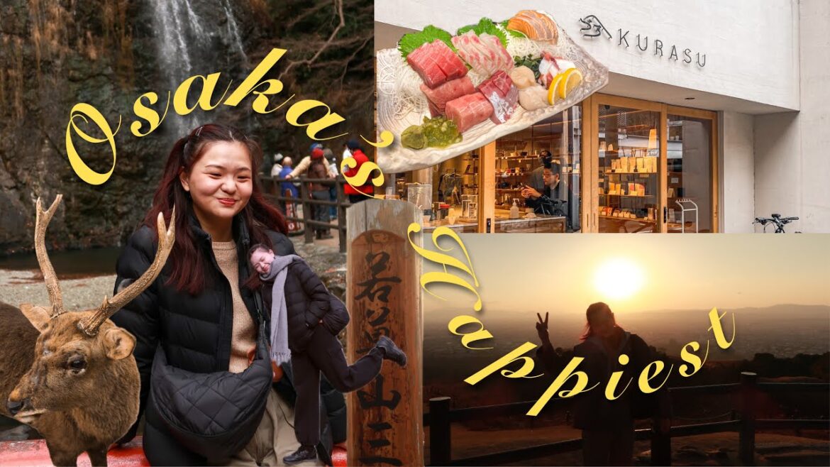 bite sized learnings and musings in japan | osaka, kobe, nara, kyoto